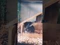 (NOT MINE) This bunny is so funny