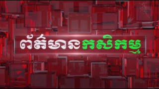 🔴 LIVE #ព័ត៌មានកសិកម្ម ថ្ងៃទី២៧  ខែមីនា  ឆ្នាំ២០២៤