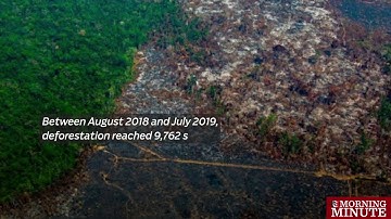 Amazon deforestation in Brazil hits worst level in over a decade