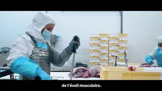 Formation Au Couteau Servagroupe X Brocéliande