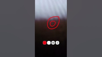 Some curves in the E #thepleasure