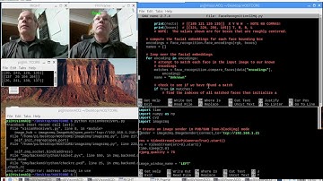 REQ/REP vs PUB/SUB WRT Frame Queing/Backup in ImageZMQ video Streaming Application