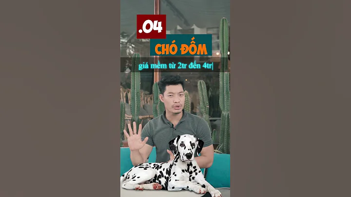 5 dòng chó rẻ nhất tại Việt Nam hiện nay | Tui Tiến Pet - MasterCareForPet #Shorts