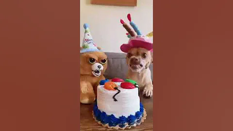 244612803 3157777684450271 1705036519290271...  n