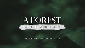 Ambisonic Ambient Music #1: A Forest