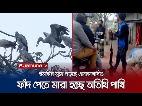 ভিডিও: রাতের পাখি: নাম। রাশিয়ার রাতের পাখি