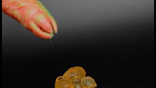 Nothosaur Ovipositor Toy Egg Laying Fantasy