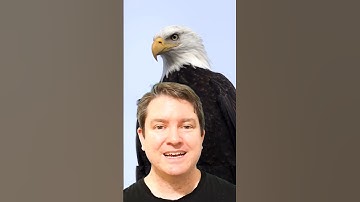 How Eagles Really Sound