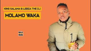 Molamo Waka - King Salama x  Lebza The Dj