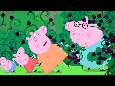 PEPPA PIG - THE FISH POND