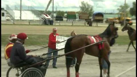 Jen at Charity Horse Race
