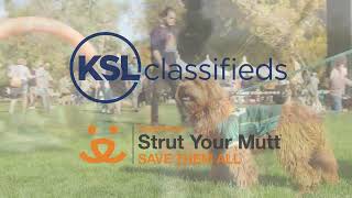 Strut Your Mutt was Paws-itively Awesome!