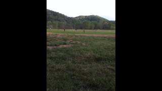 Celebrity Funiest thing in the world Net Worth