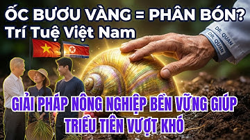 Khủng Hoảng Ốc Bươu Vàng & Giải Pháp Nông Nghiệp Bền Vững Từ Việt Nam