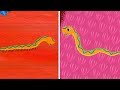 Tinga Tinga Tales Official | Why Snake Has No Legs | Tinga Tinga Tales Full Episodes