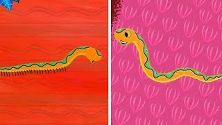 Tinga Tinga Tales Official | Why Snake Has No Legs | Tinga Tinga Tales Full Episodes