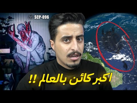 فيديو: قوة الزهور للحمامات