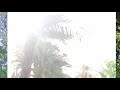 الطبيعة ليست مجرد مكان إنها شعور راحة وملاذ نعود إليه لنجد أنفسنا من جديد