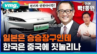 관세장벽 막힌 중국 전기차, 한국으로 몰려온다..'카푸어' 마다않는 한국서 팔릴까? / 귀에빡종원 / 비디오머그 by 비디오머그 - VIDEOMUG 112,358 views 2 weeks ago 15 minutes