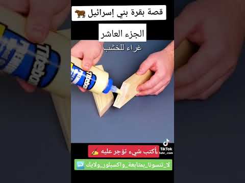 قصة بقرة بني اسرائيل الجزء العاشر العراق 