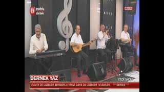 sayılı günlerim mustafa domruk