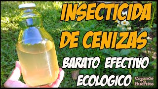 INSECTICIDA Y FUNGICIDA DE LEJÍA DE CENIZAS económico y ecológico