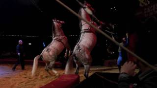 Circusfestival2010Georgeberousek