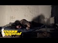 Alexander Spit A Breathtaking Trip To That Otherside Short Film mp3