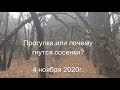 Прогулка, или почему гнутся сосенки?