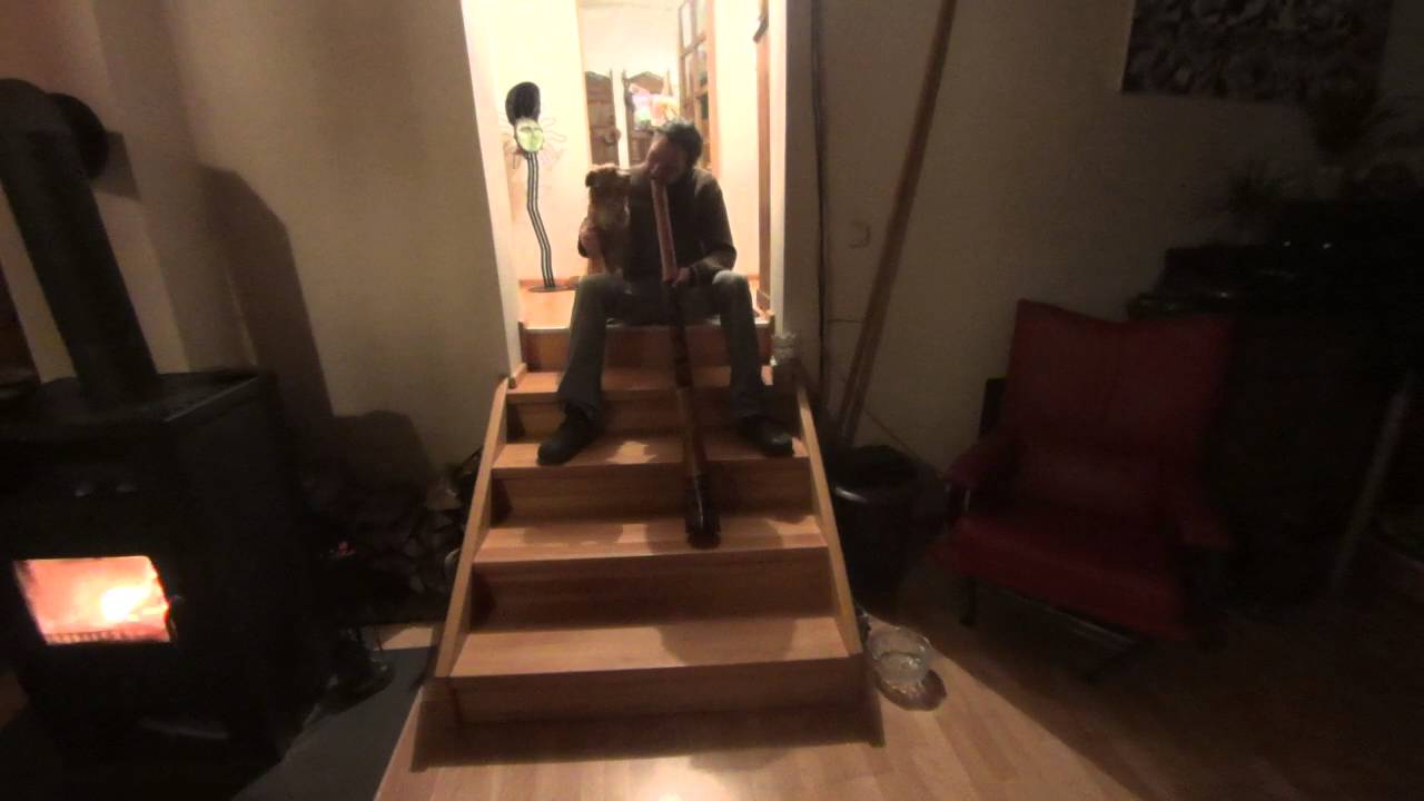 6 Eukalyptus Didgeridoo