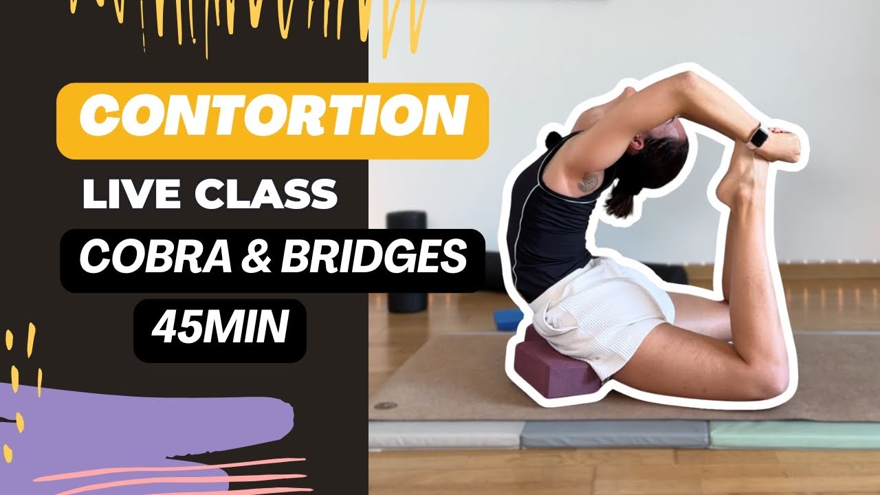 Contortion Class with Zohar: Cobra & Bridge Poses | Members-Only Live ...