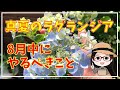 剪定と肥料〇挿し木の株〇挿し木実演〇ラグランジア〇クリスタルヴェール〇ブライダルシャワー〇フレンチボレロ