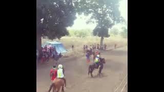 Pacuan Kuda.Ngada Flores 2018