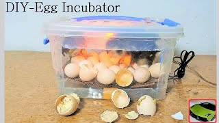 DIY-How to make Mini Egg incubator at Home - Homemade egg incubator