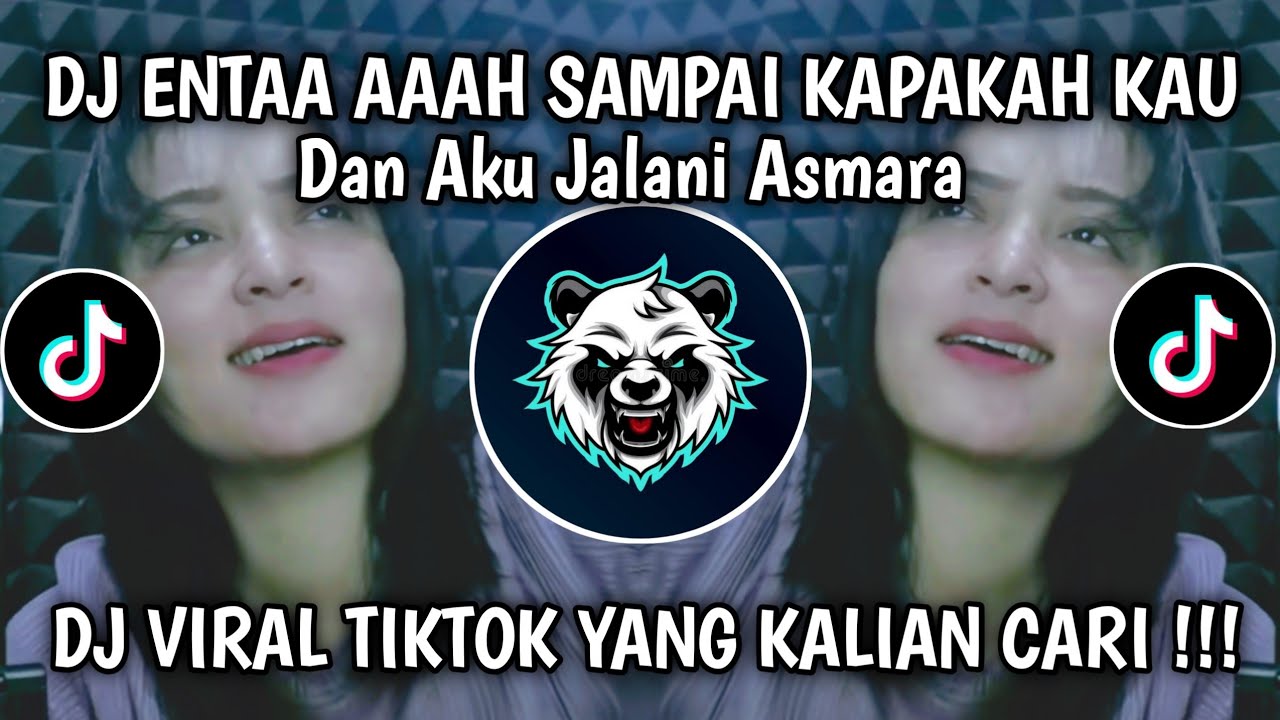DJ ENTAH SAMPAI KAPANKAH KAU DAN AKU JALANI ASMARA MENUNGGU PERTEMUAN TIBA VIRAL TERBARU TIKTOK 2025