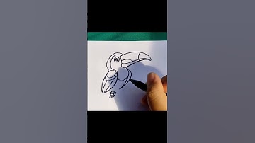 How to draw a Toucan