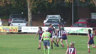 Junior Colts Round 5 Vs Hahndorf 2024