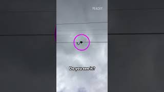 POV: You’re the Phone... Legends Say It’s Still on the Track! 👀 #fails #funny #funnyfails #peachy