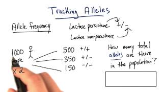 Allele Tracking - Tales from the Genome