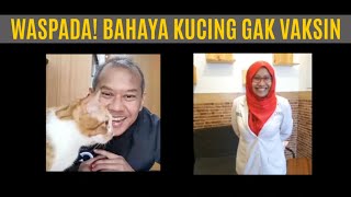 Bahas Vaksin Kucing Dengan Dokter Eka