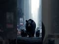 Bear walking on the street #shorts #trending #ytshorts