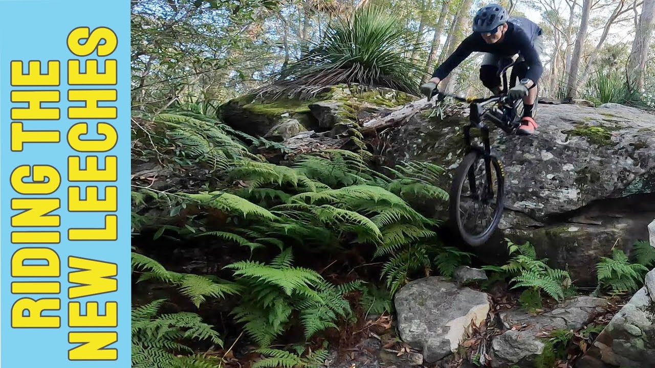 Tech DH trails: First time riding the 'New' Leeches - YouTube