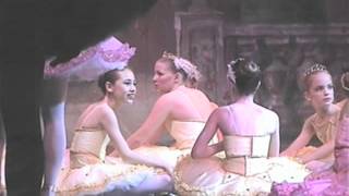web CFB 30" nutcracker commercial