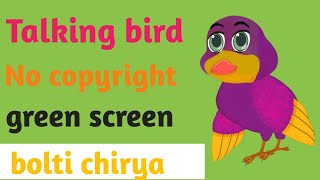 Birds cartoon green screen vedio|talking bird green background|green screen bird no copyright