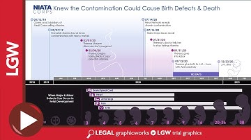 Birth Defect Exposure Timeline PowerPoint Animation for Litigation