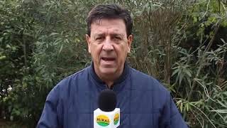 Caída en las ventas