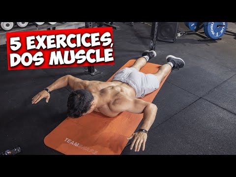 5 exercices pour un dos super musclé !