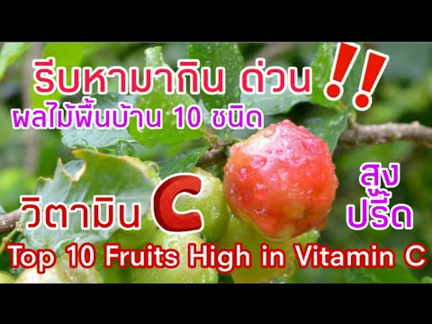 10 ผลไม้ไทยให้วิตามินซีสูงปรี๊ด ต้านหวัด ต้านไวรัสเสริมภูมิคุ้มกัน | Top 10 Fruits High In Vitamin C
