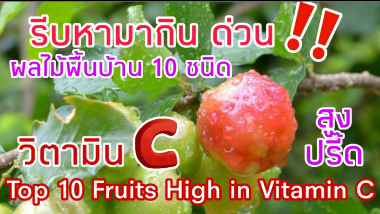 10 ผลไม้ไทยให้วิตามินซีสูงปรี๊ด ต้านหวัด ต้านไวรัสเสริมภูมิคุ้มกัน | Top 10 Fruits High In Vitamin C