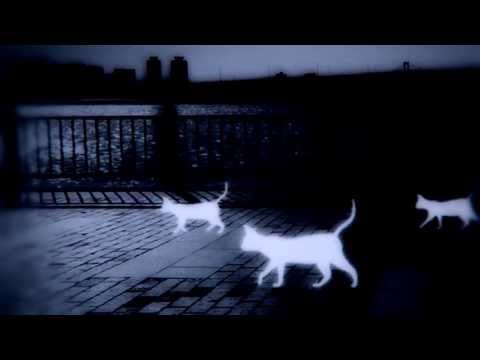 Rebelion - In